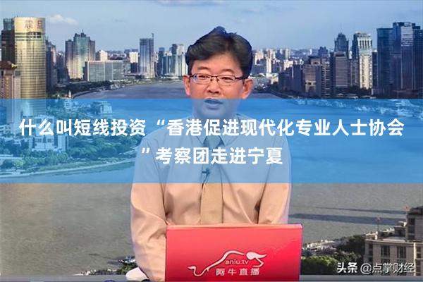 什么叫短线投资 “香港促进现代化专业人士协会”考察团走进宁夏