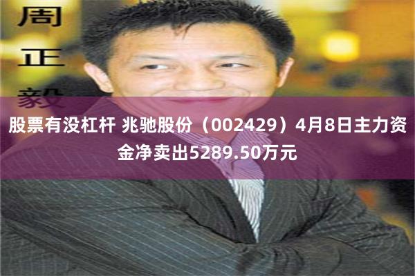 股票有没杠杆 兆驰股份（002429）4月8日主力资金净卖出5289.50万元