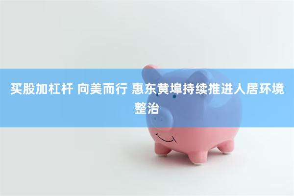 买股加杠杆 向美而行 惠东黄埠持续推进人居环境整治