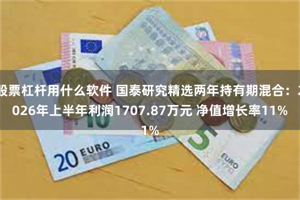股票杠杆用什么软件 国泰研究精选两年持有期混合：2026年上半年利润1707.87万元 净值增长率11%